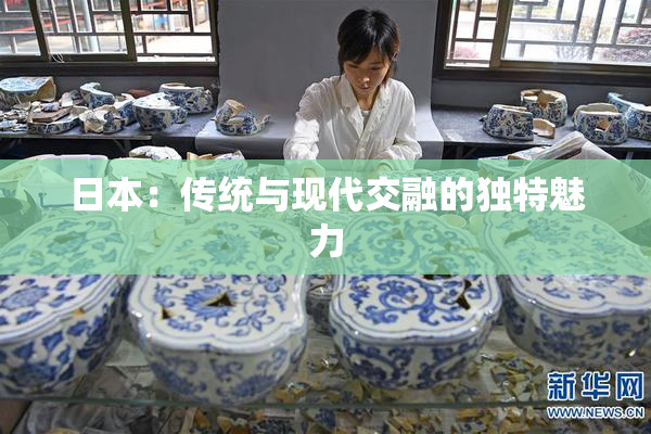 日本：传统与现代交融的独特魅力