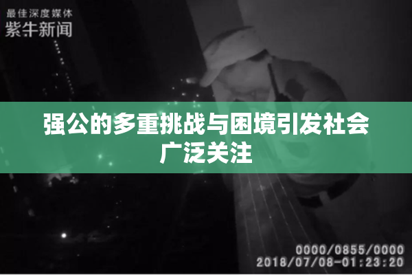强公的多重挑战与困境引发社会广泛关注
