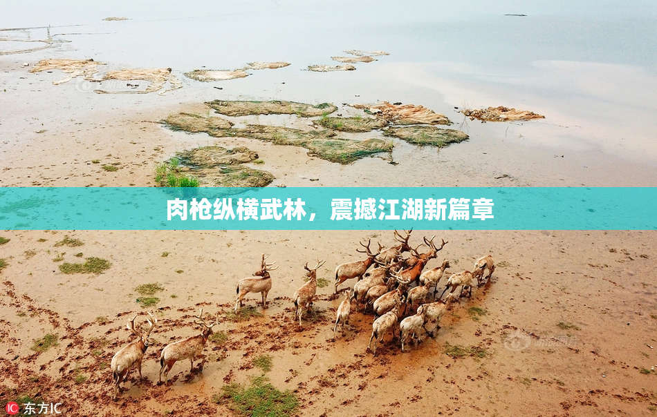 肉枪纵横武林，震撼江湖新篇章