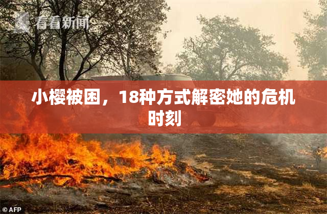 小樱被困，18种方式解密她的危机时刻