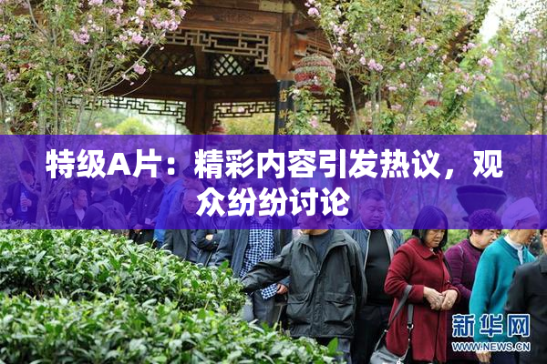 特级A片：精彩内容引发热议，观众纷纷讨论