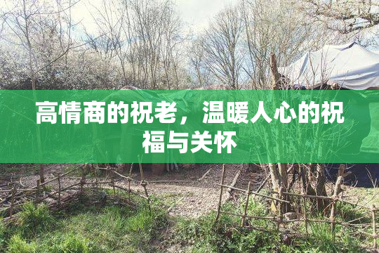 高情商的祝老，温暖人心的祝福与关怀