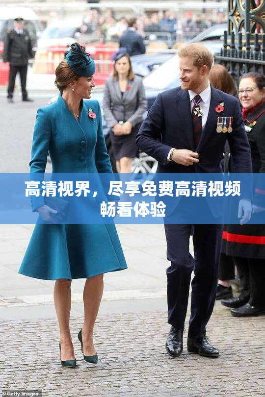 高清视界，尽享免费高清视频畅看体验