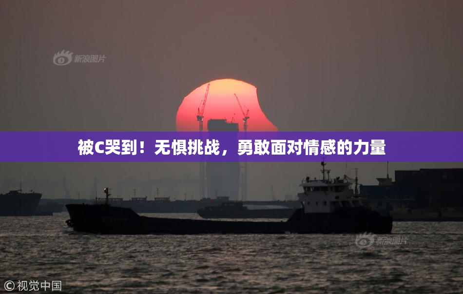 被C哭到！无惧挑战，勇敢面对情感的力量