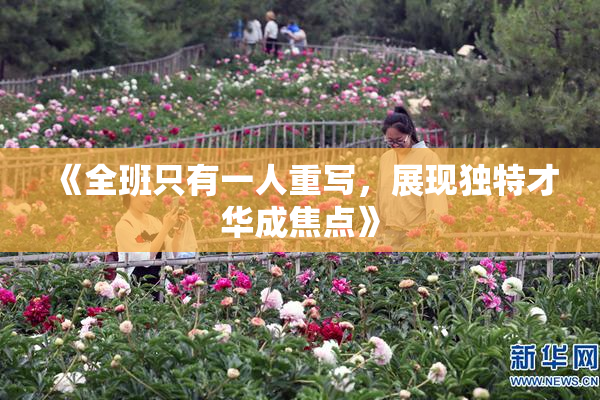 《全班只有一人重写，展现独特才华成焦点》