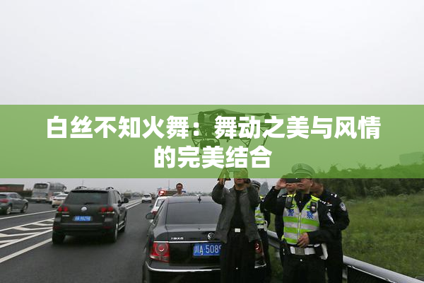 白丝不知火舞：舞动之美与风情的完美结合