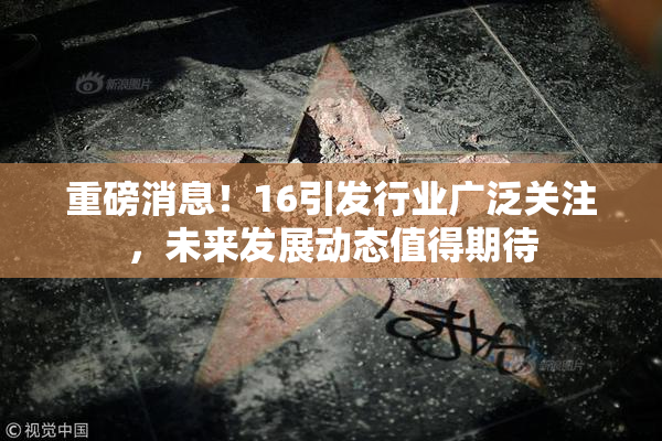 重磅消息！16引发行业广泛关注，未来发展动态值得期待
