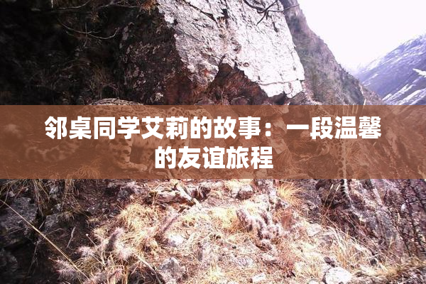 邻桌同学艾莉的故事：一段温馨的友谊旅程