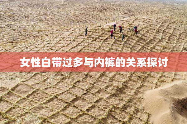 女性白带过多与内裤的关系探讨