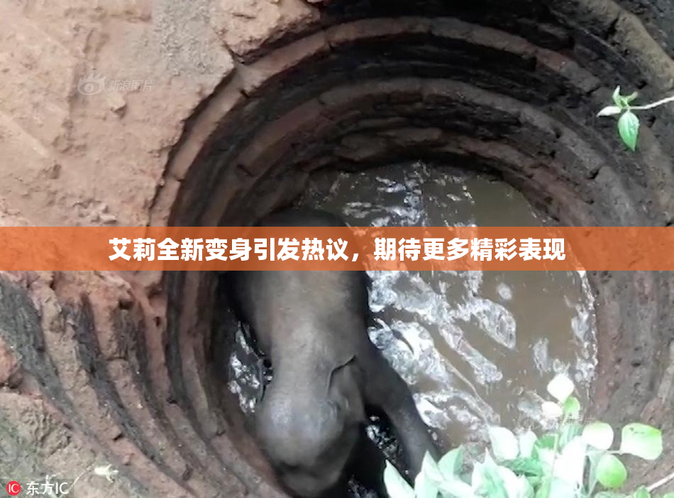 艾莉全新变身引发热议，期待更多精彩表现