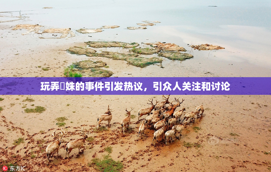 玩弄妺姝的事件引发热议，引众人关注和讨论