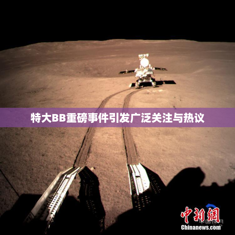特大BB重磅事件引发广泛关注与热议