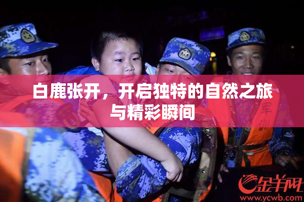 白鹿张开，开启独特的自然之旅与精彩瞬间