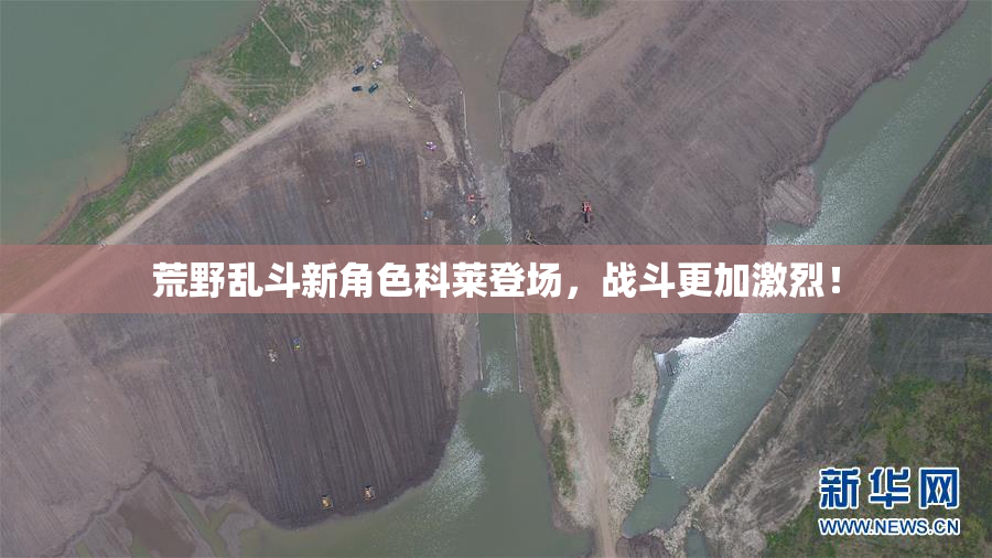 荒野乱斗新角色科莱登场，战斗更加激烈！