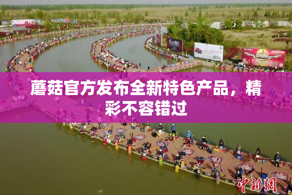 蘑菇官方发布全新特色产品，精彩不容错过