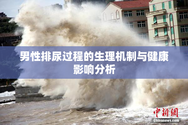 男性排尿过程的生理机制与健康影响分析