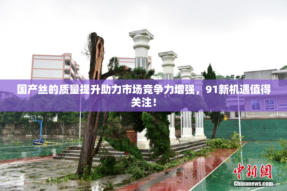 国产丝的质量提升助力市场竞争力增强，91新机遇值得关注！