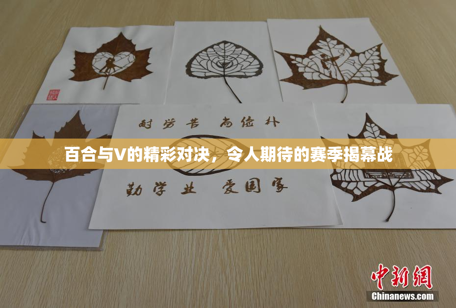 百合与V的精彩对决，令人期待的赛季揭幕战