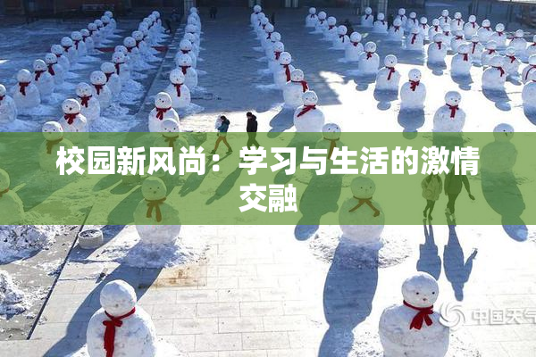校园新风尚：学习与生活的激情交融