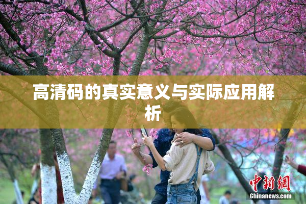 高清码的真实意义与实际应用解析
