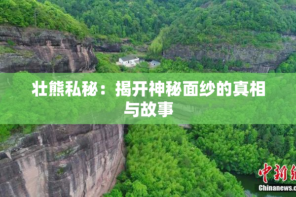 壮熊私秘：揭开神秘面纱的真相与故事