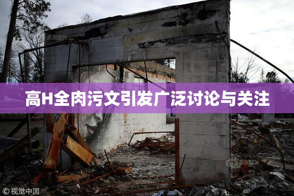 高H全肉污文引发广泛讨论与关注