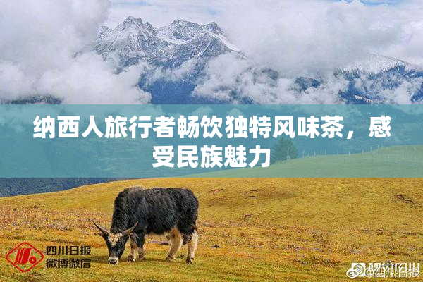 纳西人旅行者畅饮独特风味茶，感受民族魅力