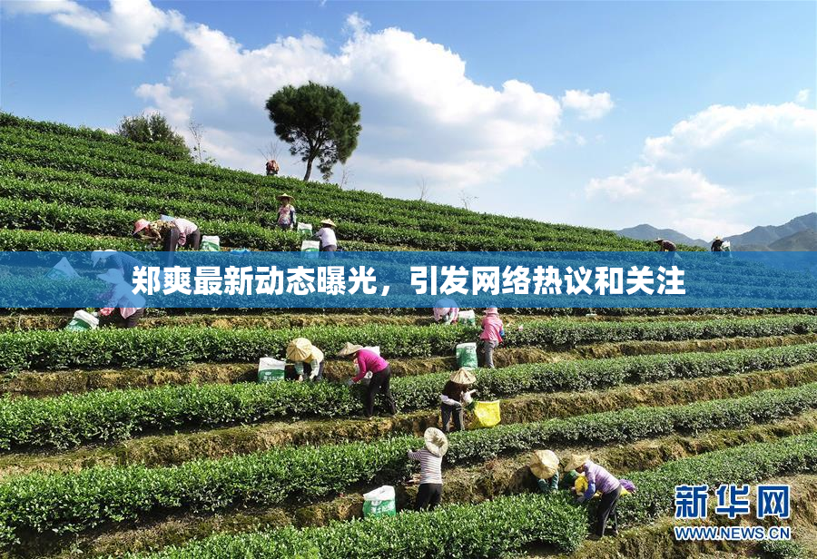郑爽最新动态曝光，引发网络热议和关注