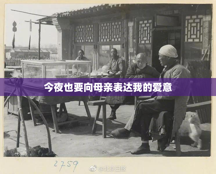 今夜也要向母亲表达我的爱意