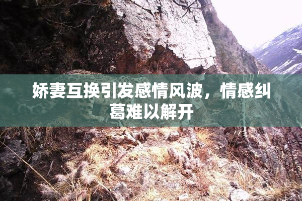 娇妻互换引发感情风波，情感纠葛难以解开