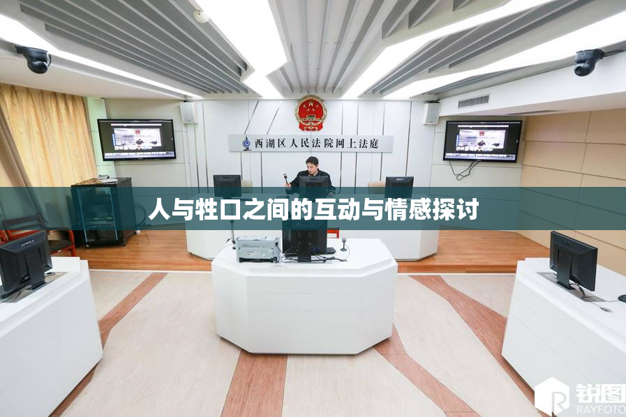人与牲口之间的互动与情感探讨