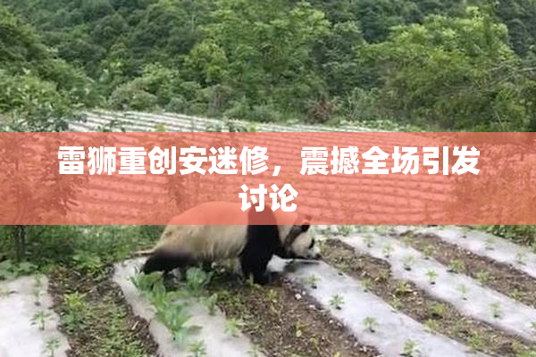 雷狮重创安迷修，震撼全场引发讨论