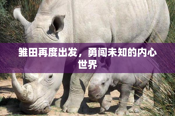 雏田再度出发，勇闯未知的内心世界