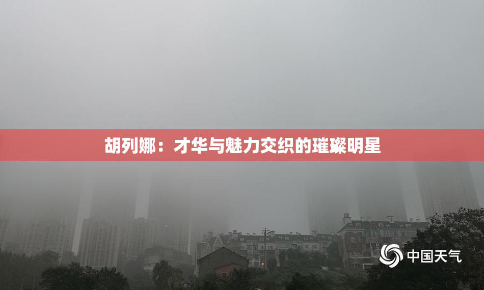 胡列娜：才华与魅力交织的璀璨明星