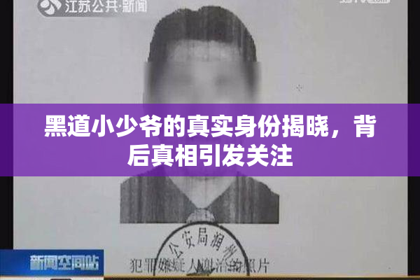 黑道小少爷的真实身份揭晓，背后真相引发关注