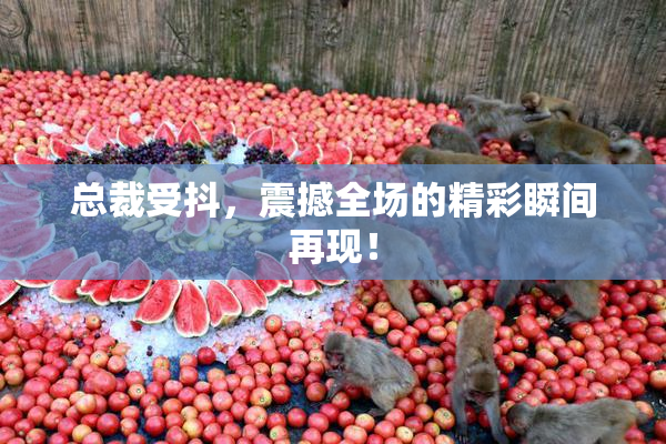 总裁受抖，震撼全场的精彩瞬间再现！