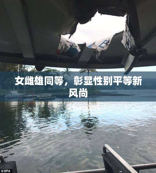 女雌雄同等，彰显性别平等新风尚