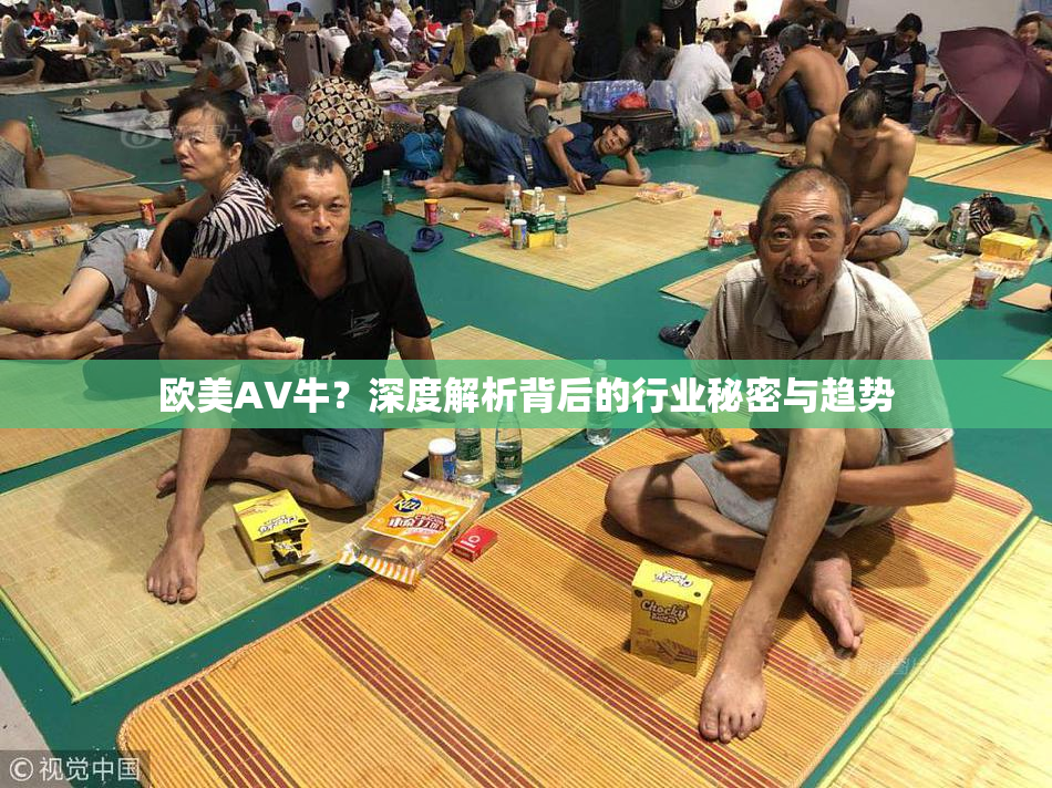欧美AV牛？深度解析背后的行业秘密与趋势