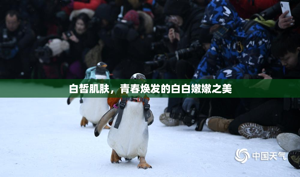 白皙肌肤，青春焕发的白白嫩嫩之美