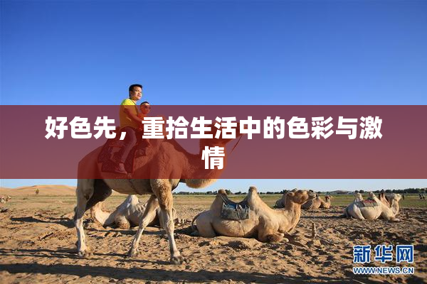 好色先，重拾生活中的色彩与激情