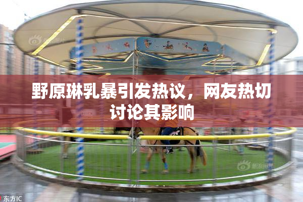 野原琳乳暴引发热议，网友热切讨论其影响