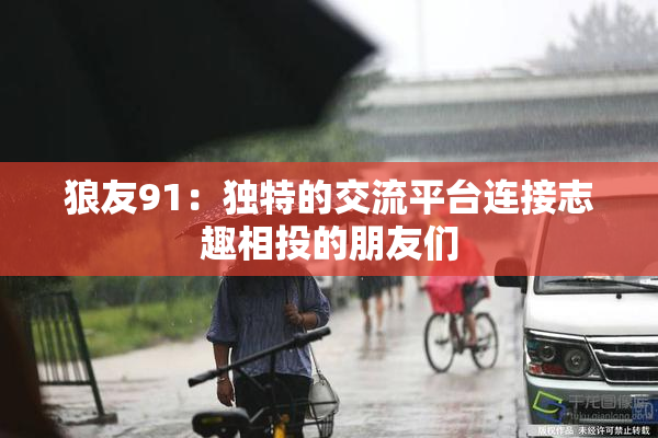 狼友91：独特的交流平台连接志趣相投的朋友们