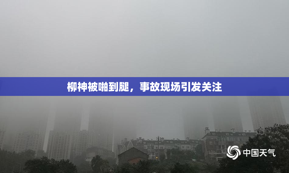 柳神被啪到腿，事故现场引发关注