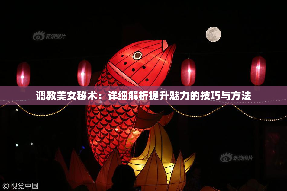 调教美女秘术：详细解析提升魅力的技巧与方法