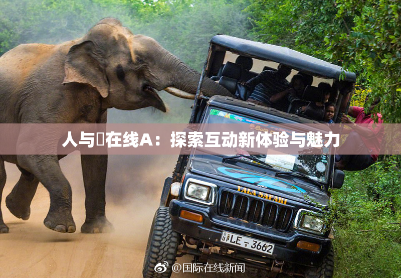 人与嘼在线A：探索互动新体验与魅力