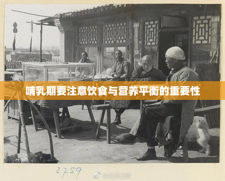 哺乳期要注意饮食与营养平衡的重要性