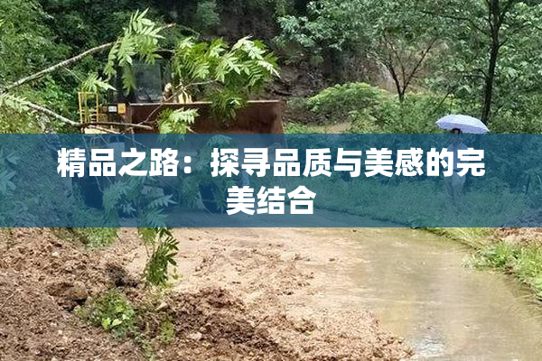 精品之路：探寻品质与美感的完美结合
