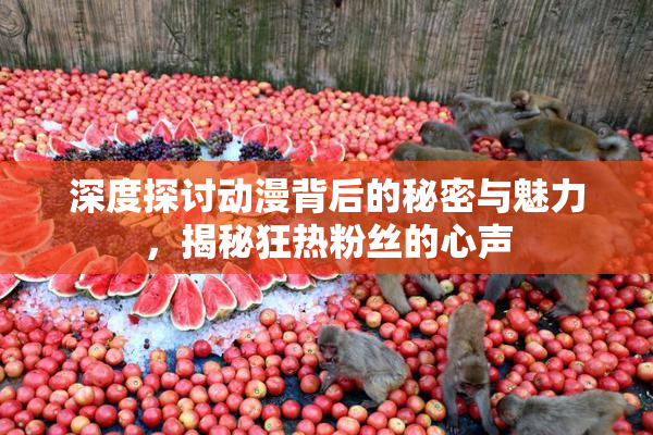 深度探讨动漫背后的秘密与魅力，揭秘狂热粉丝的心声