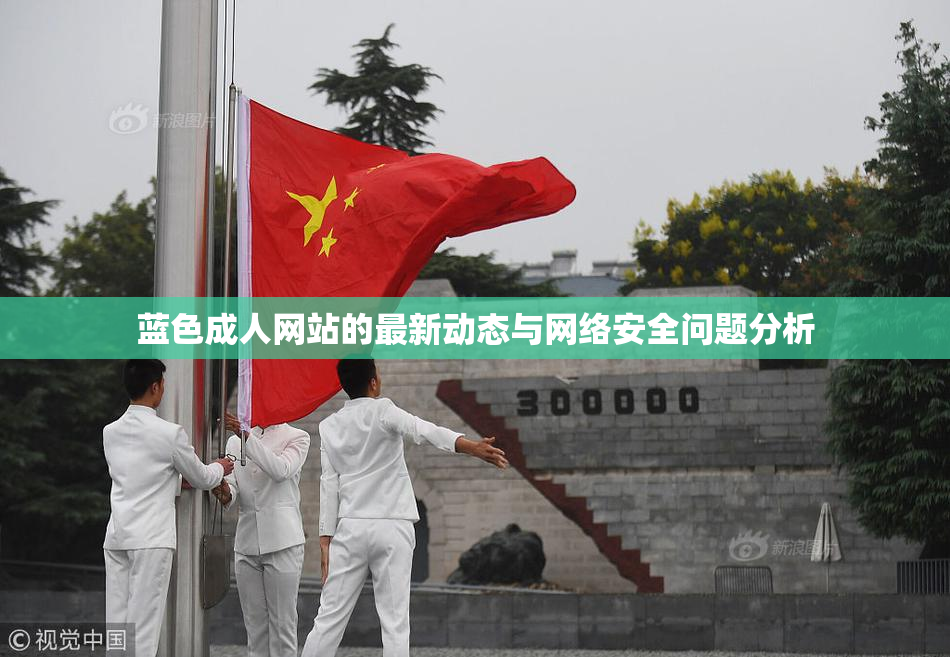 蓝色成人网站的最新动态与网络安全问题分析