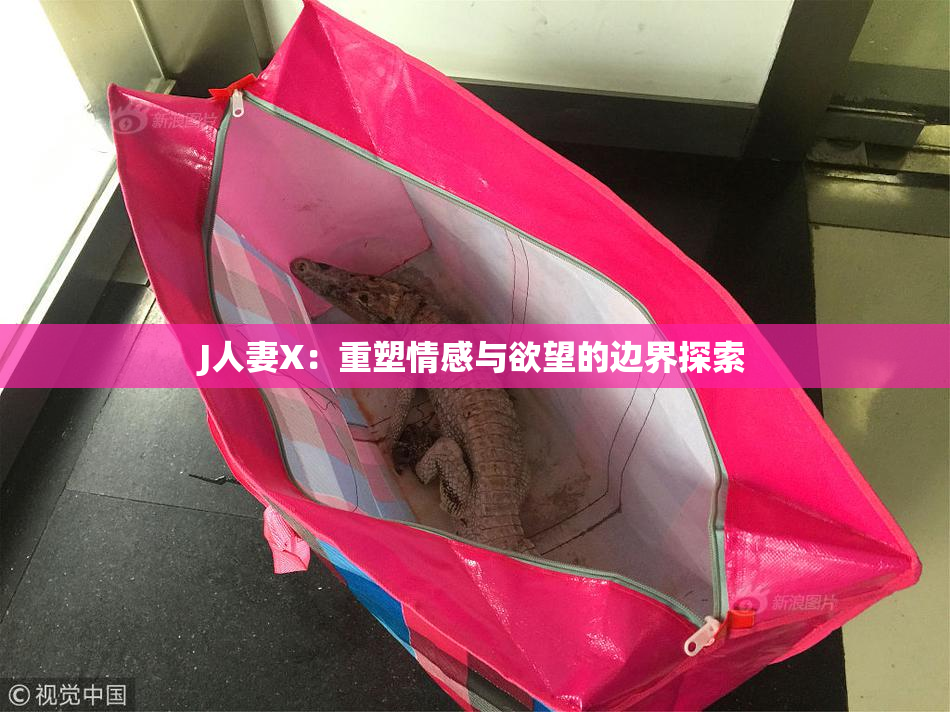 J人妻X：重塑情感与欲望的边界探索
